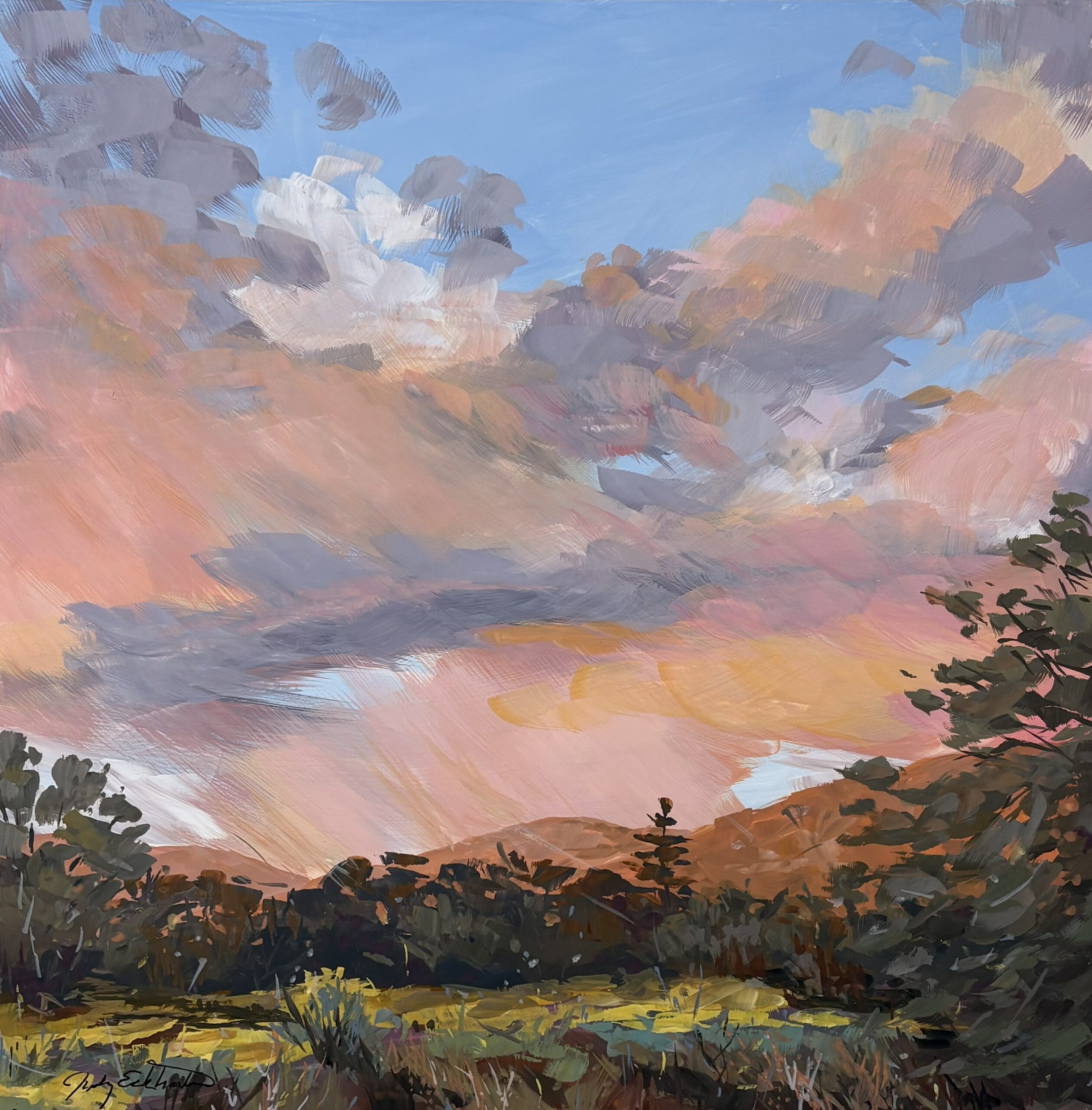 Reflections at the end of the day