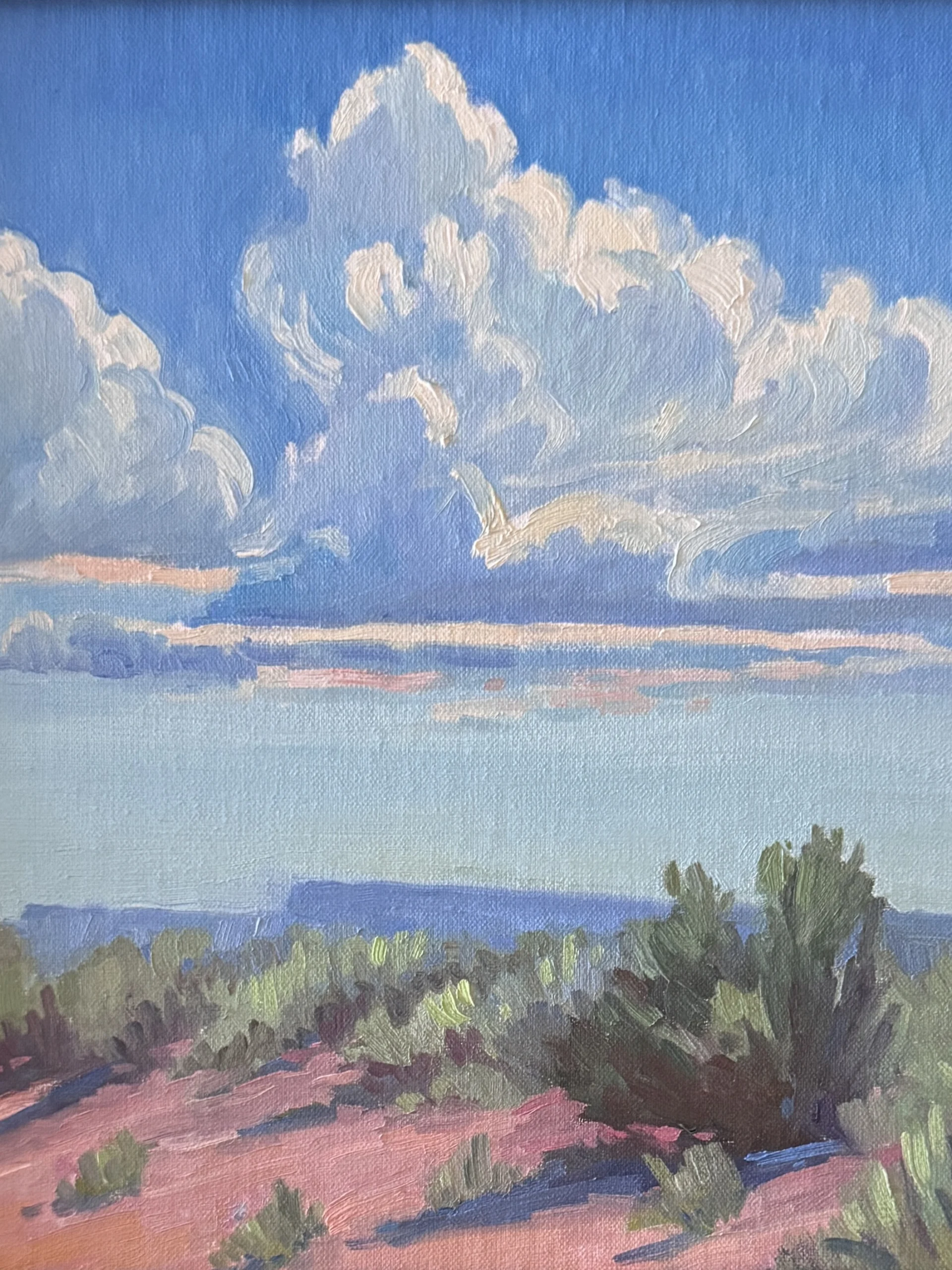 Mid Summer Clouds